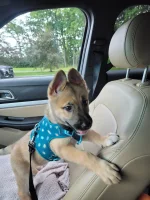 IMG_20240812_144653.webp