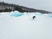 20250223_133652.webp