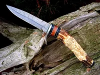 viking.webp