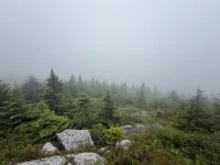 IMG_3860.webp IMG_3860.webp