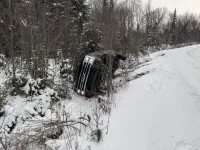 Crash 1.webp