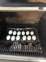 Eggs.webp