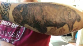 Tattoo's (8).webp
