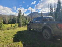 AF Raptor.webp