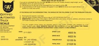 Cat Scale 2.webp