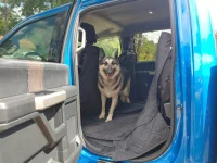 Copilot.webp