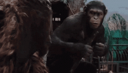 1630086875157.gif