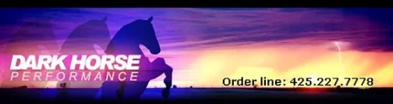 darkhorse1 (2).webp