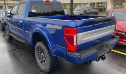 big blu butt.webp