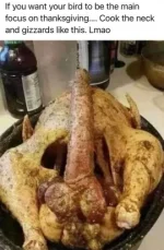 Male turkey.webp