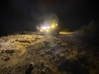 night lights.webp
