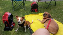 IMG_20170726_124251.webp