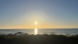 830A9D06-E823-4910-89CE-99C65A0C8AD2.webp