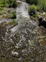 Sno Pak - 1.webp