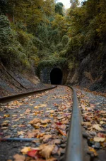 Streamin the Gap 2023 (95).webp