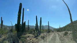 000 baja beach camp 1113.webp