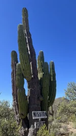 000 baja beach camp 1114.webp