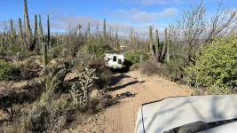 000 baja beach camp 1118.webp