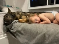 1703274239899.webp