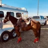 Slickhorns