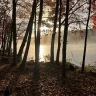 Rocurv