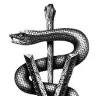 drvet