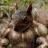 SquirrelyDan82