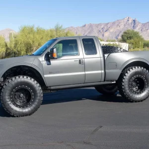 Raptor 1.jpg