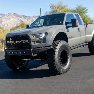 Raptor 2.jpg