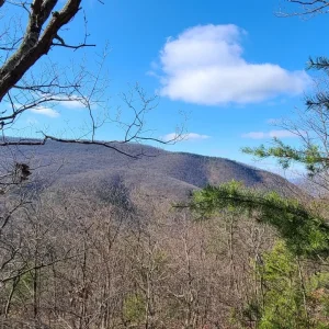 20201206_124400.jpg