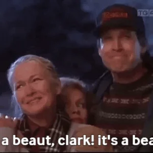 SWjC8DcSLv0fCDXD6L.gif