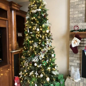 IMG_6264.jpeg