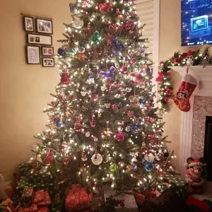 20201215_170642.jpg