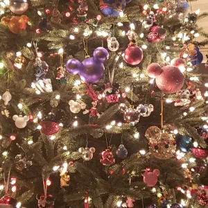 20201215_170652.jpg