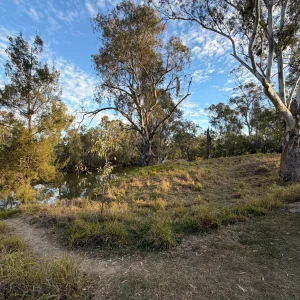 IMG_5858.webp