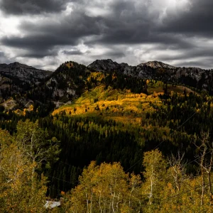 Guardsman Pass.09.26 (1).webp