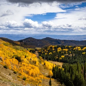 Guardsman Pass.09.26 (5).webp