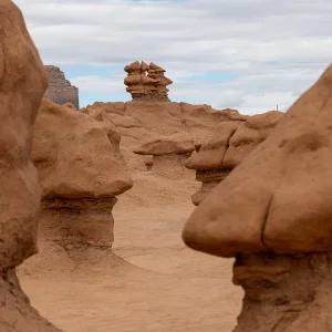 0O1A4226.webp