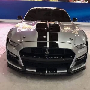 ford-mustang-Iconic-Silver,.jpg
