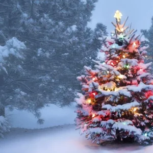 christmas-tree.jpg