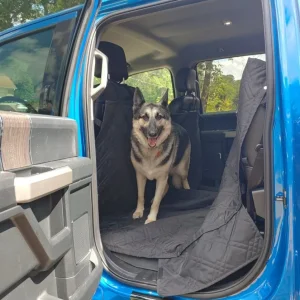 Copilot.jpg