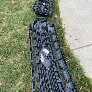 TwoGrillsLayingOut.jpg