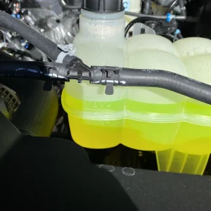 2542D617-E230-4810-9CFA-77099523F215.jpeg