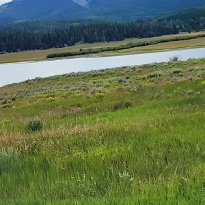 20250802_163733.webp