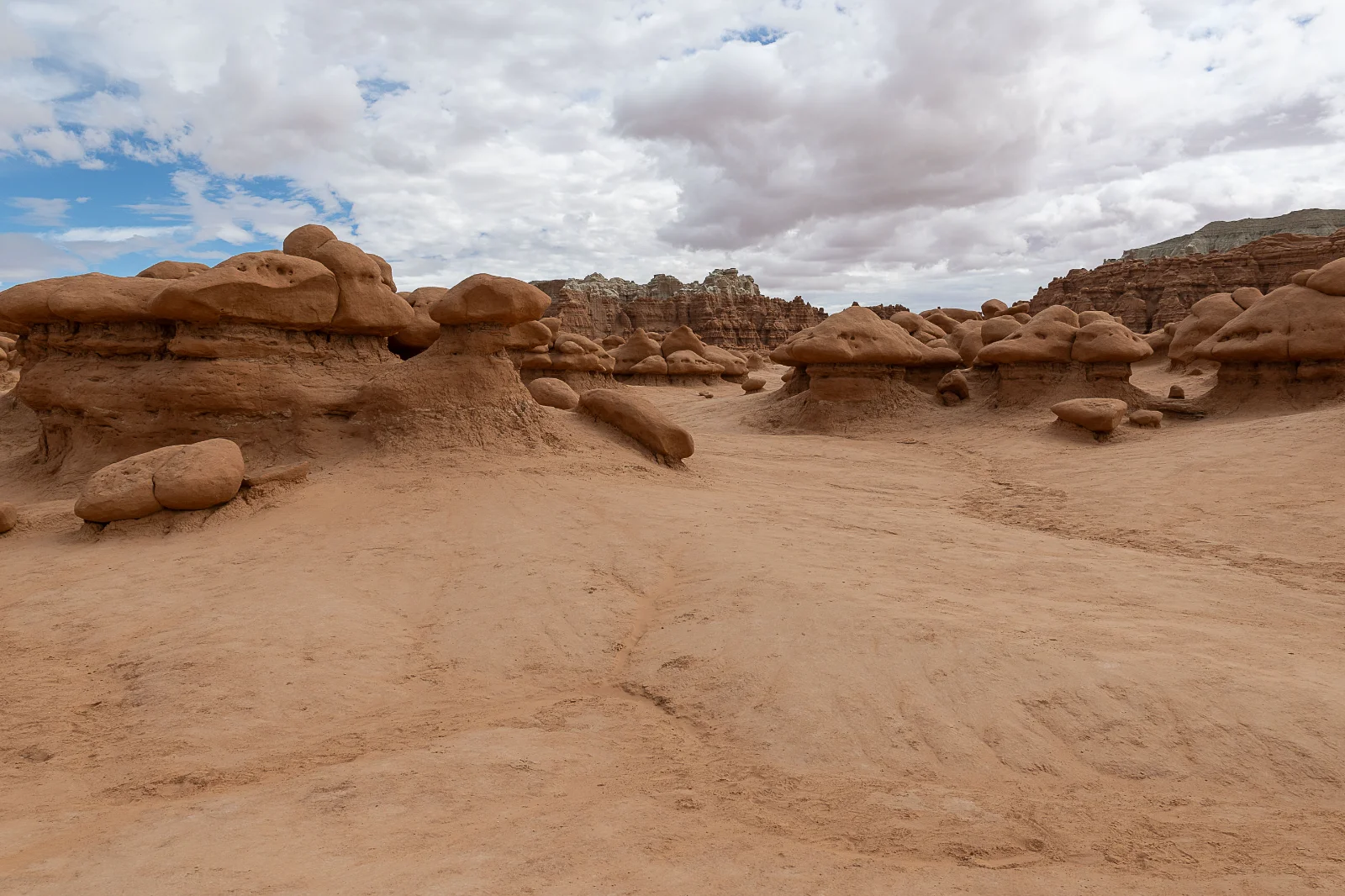 088A5943.webp