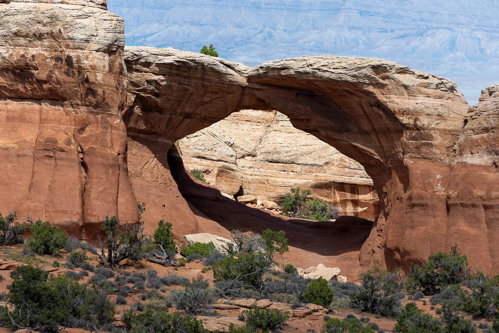 0O1A4099.webp