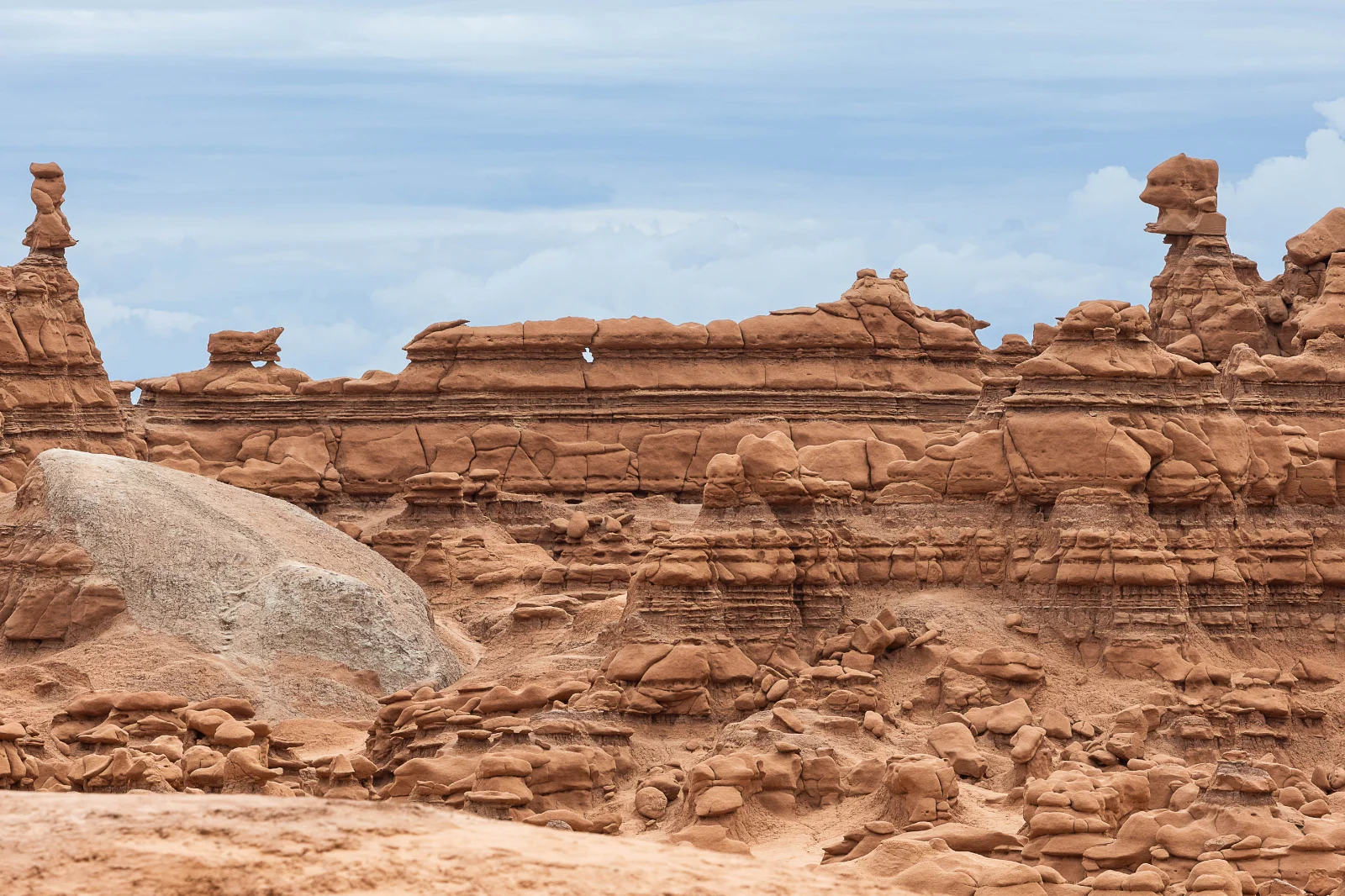 0O1A4239.webp