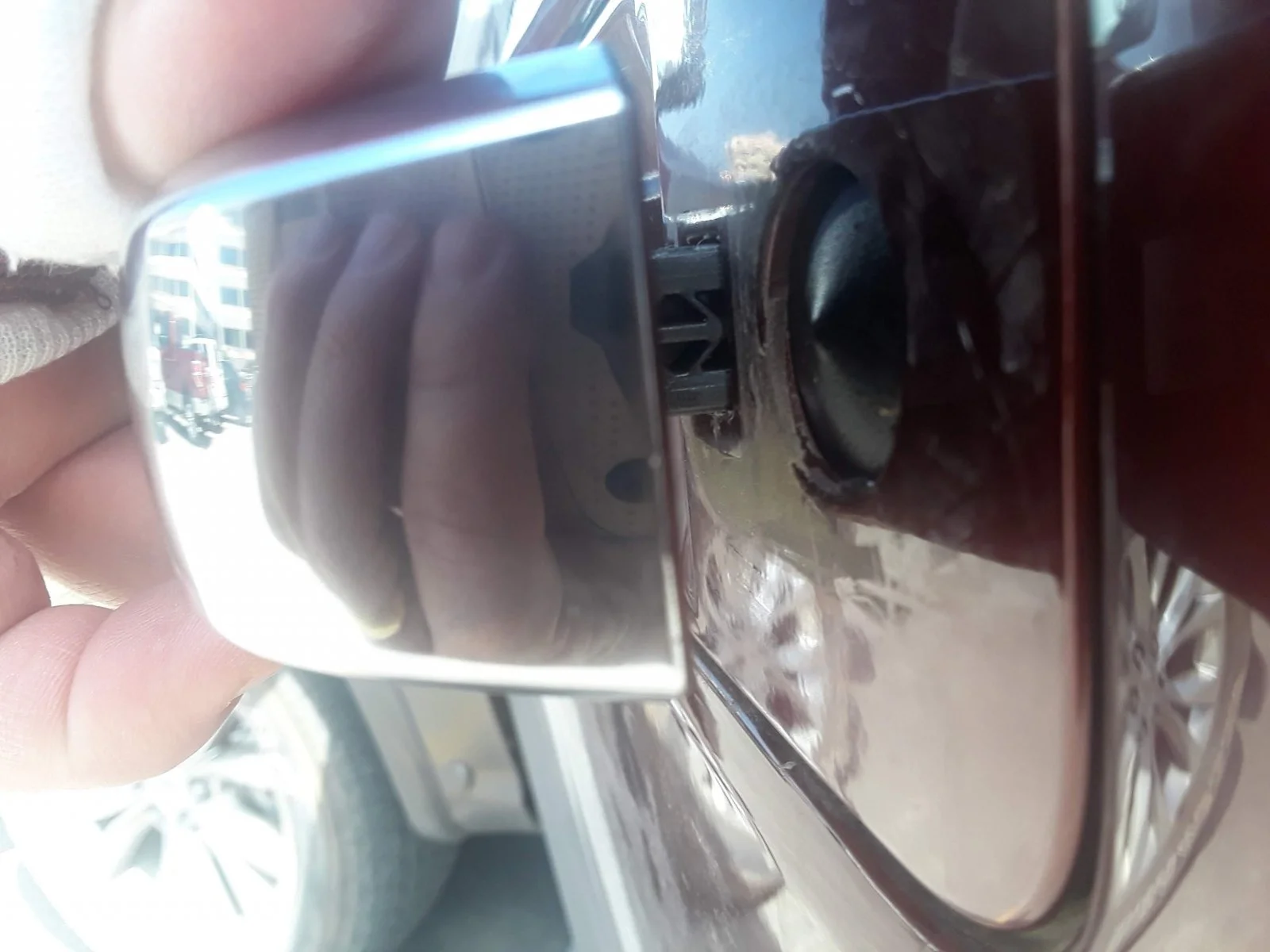 20190318_145424.jpg