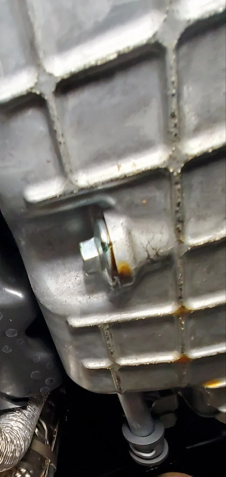 20201206_214247.jpg
