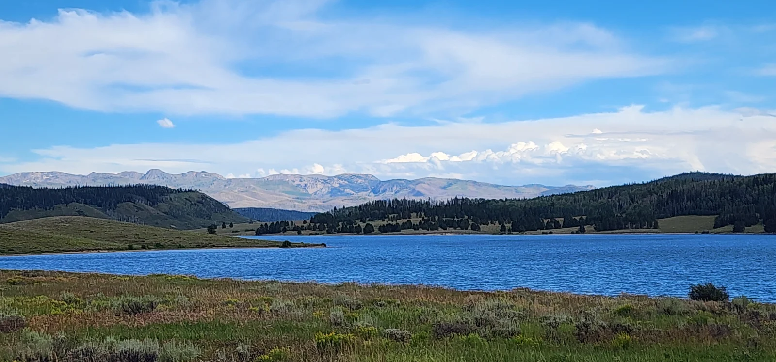 20250802_163722.webp